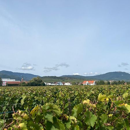 Oasis Tout Confort A Bergheim, Alsace Zewnętrze zdjęcie