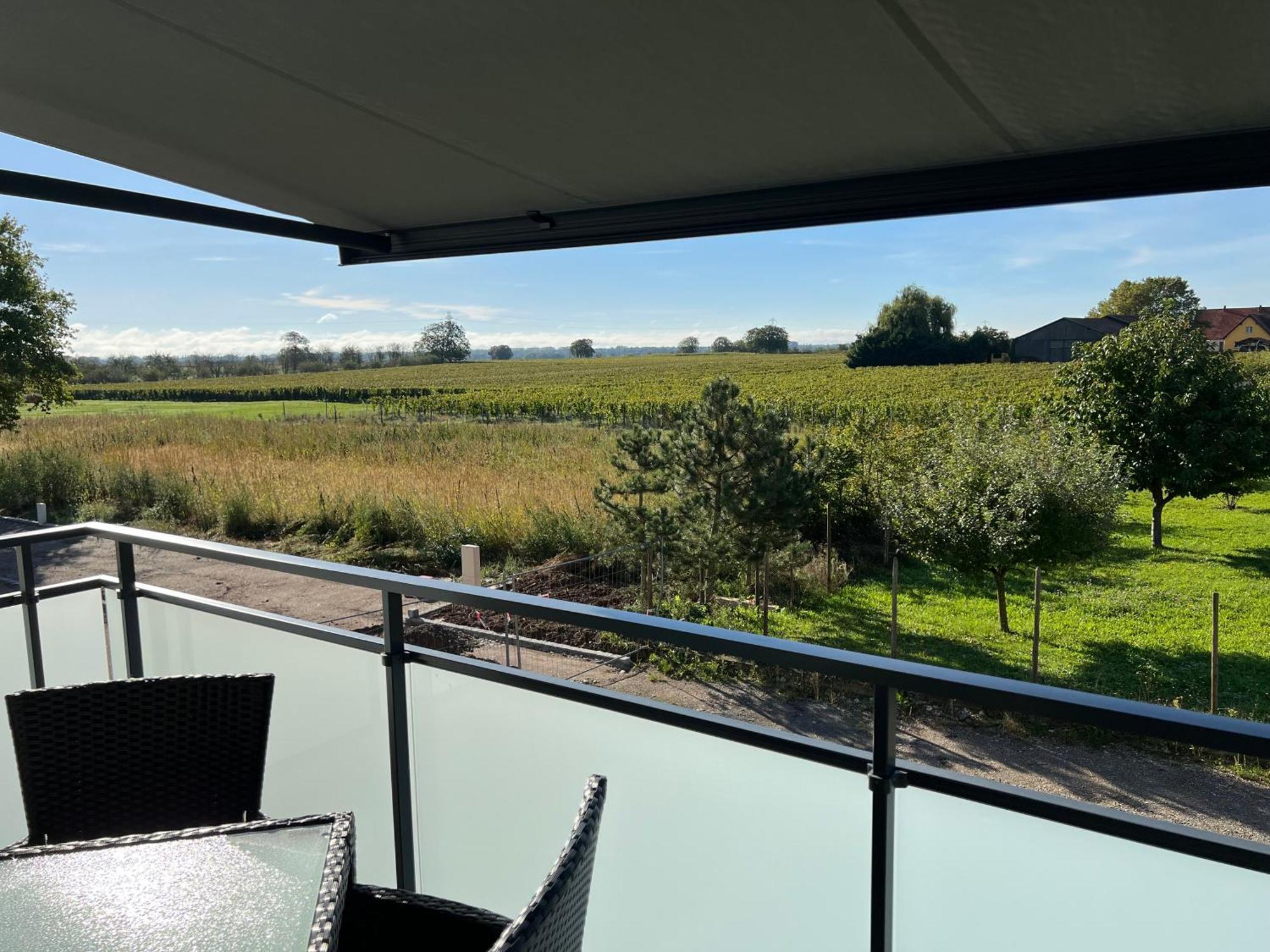 Oasis Tout Confort A Bergheim, Alsace Zewnętrze zdjęcie